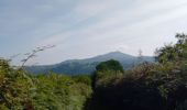 Excursión Senderismo Itxassou - Itxassou (pas de Roland) - Photo 2