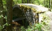 Randonnée Marche Courgoul - Les gorges de Courgouls et le Pic de Cluzel - Photo 3