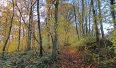 Excursión Senderismo Anthisnes - Marche ADEPS Villers aux Tours - Photo 14