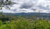 Tocht Stappen Molsheim - Randonnée l'après-midi - Photo 2