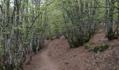 Excursión Senderismo La Bresse - Le Hohneck cool - Photo 1