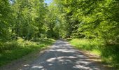 Percorso Marcia Compiègne - en Forêt de Compiègne_50_les Routes des Beaux Monts, de Morpigny et des Nymphes - Photo 14