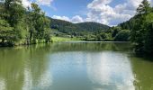 Tocht Stappen Le Val-d'Ajol - Le Breuil - Hérival  - Photo 1