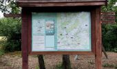 Excursión Senderismo Rochefort - La promenade du Gouffre et des rapides de la lesse (les bouvreuils) - Photo 7