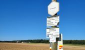 Trail Walking Hamois - Hamois 070923 - Photo 7