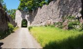 Tocht Stappen Unknown - Baden Baden - rando des 