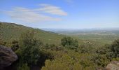 Tour Wandern Argelès-sur-Mer - massane - Photo 20