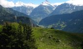 Randonnée A pied Grindelwald - First - Bachalpsee - Fauhlhorn - Schynige Platte - Photo 1