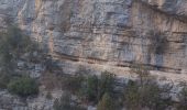 Excursión Senderismo La Palud-sur-Verdon - Verdon - Sentier du Bastidon A/R (partiel) - Photo 4