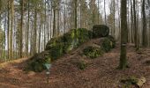 Tour Zu Fuß Flörsbachtal - Spessartbogen Zubringer Wiesbütt - Bad Orb - Photo 3