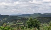 Tour Wandern La Londe-les-Maures - De Lalonde-Valcros au dolmen de Gautabry - Photo 4