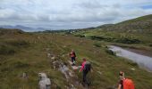 Tour Wandern West Cork - Ardgroom -  Eyeries - Photo 7