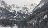 Tocht Sneeuwschoenen Pralognan-la-Vanoise - raquette pralognan - Photo 1