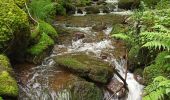 Trail Walking Vecoux - 07-06-21 Reherrey- chalet des meules- col de xiard- chalet de l'avuxon- source chaude - Photo 1