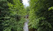 Trail Walking Jalhay - Tour du lac de la Gileppe  - Photo 8
