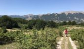 Trail Walking Pescasseroli - Pescasseroli Opi Colle Alti 18 km - Photo 10