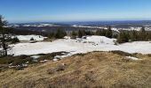 Percorso Racchette da neve Gex - La Faucille_Montrond 11km 20210221 - Photo 5
