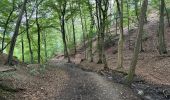 Excursión Senderismo Namur - La Plante Citadelle Namur 16,3 km - Photo 2