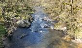 Trail Walking Corrèze - Chemin du Paradis - Photo 9