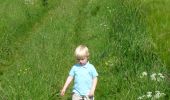 Trail On foot Dinant - WandArdRiv 18: Falmignoul: ruisseau de ranle en de Maas - Photo 2