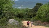 Trail Walking Rougiers - rougiers - Photo 3