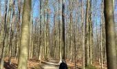 Tour Wandern Halle - Bois de Halle - Photo 4