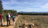 Tocht Stappen Sérignan-du-Comtat - PF-Sérignan-du-Comtat - Le Bois de la Montagne - Photo 7