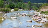 Tocht Stappen Le Muy - SityTrail - les p'tits étangs de Palayson - Photo 15