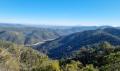 Tour Wandern Collobrières - La Verne - Cèdres de Ragusse by DAL - Photo 6