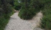 Trail Walking Gordes - Roundwalk from Hotel Les Bories with shortcut -With pictures, start/finish Sénanque - Photo 11