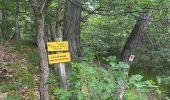 Trail  Ardes - Ardes Mercoeur Rentières  - Photo 12