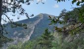 Tour Zu Fuß Espenel - Espenel de la Drome au col du grand pres - Photo 1