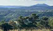 Tocht Stappen Blanzac - Rachat - Chapelle de Chassaleuil - Photo 1