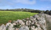 Tour Wandern Alaior - Cala en Porter – Sant Tomàs - Photo 10