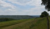 Tocht Stappen Pepinster - 20230612 - Cornesse 5.9 Km - Photo 18