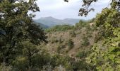 Trail Walking Arpavon - arpavon le poet sigillat par le col s aubomme - Photo 18