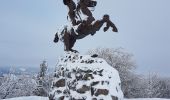 Trail Walking Lepuix - Rando raquettes Ballon d'Alsace depuis Saut de la Truite  - Photo 4