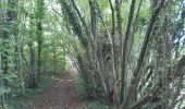 Tour Wandern Anthisnes - hody . hestreux . targnon . hody - Photo 7