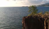 Tour Wandern Bouillante - Pointe à Lézard - Anse à Sable - Photo 5