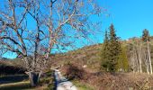 Trail Walking Forcalquier - forcalquier,les mourres - Photo 19