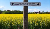 Percorso Marcia Liegi - Promenade du Vallon du Ry-Ponet  - Photo 5