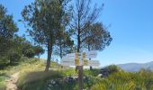 Trail Walking la Vall de Laguar - Benimaurell 250525 - Photo 8