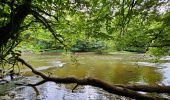 Tour Wandern Florenville - Le Point de vue la Bohanan - Chassepierre - Photo 5