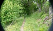 Tour Wandern Puy-Saint-Martin - La Montagne de Ste-Euphémie - Puy-St-Martin - Manas - Photo 13