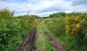 Trail Walking Vresse-sur-Semois - Allesur Semois 020625 - Photo 18