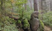 Tocht Stappen Mittelbergheim - Boucle des châteaux d'Andlau et du Sepsbourg - Photo 6