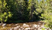 Excursión Senderismo Bolquère -  Bolquère .Petit Canada Pla de Barrès - Photo 4