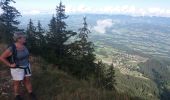 Trail Walking La Roche-sur-Foron - GLIERES / BORNES: LE CHESNET - SUR COU - COL DU FREU - Photo 1
