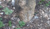 Tour Wandern Manosque - 210625eau - Photo 4