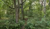 Tour Zu Fuß Iphofen - Bildeichenweg - Photo 8